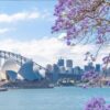 TOUR DU LỊCH ÚC MÙA PHƯỢNG TÍM: HÀ NỘI – SYDNEY– DANDENONG– MELBOURNE – HÀ NỘI 7N6Đ – BAY VN