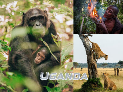 Uganda - Hành Trình Hoang Dã, Nguyên Thủy Bậc Nhất Châu Phi